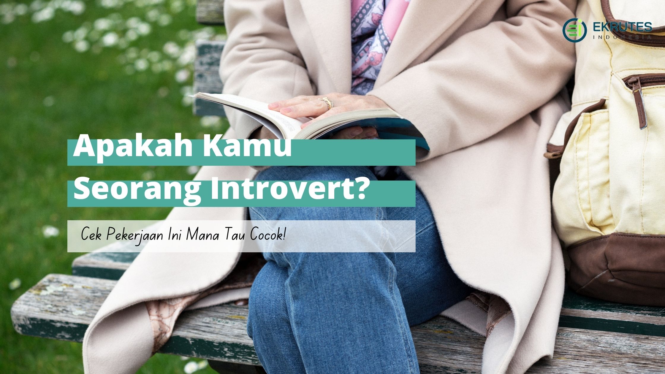 pekerjaan untuk introvert